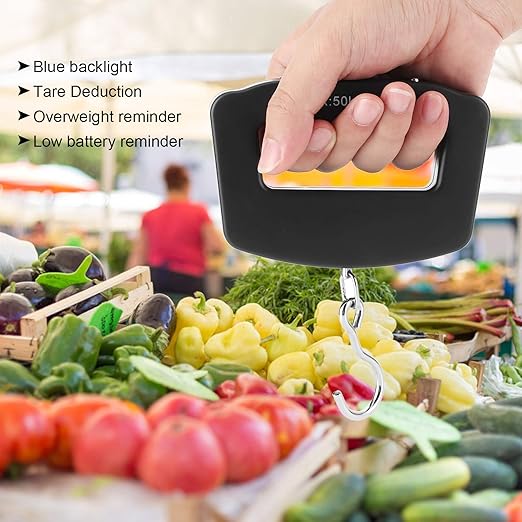 50kg/10g Portable Fishing Scale,Mini Portable Travel Hook Scale,Electronic Hook Scale Luggage Scale with Hook for Travel Fish Weighing Black
