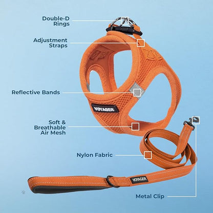 Voyager Step-in Air All Weather Mesh Harness and Reflective Dog 5 ft Leash Combo with Neoprene Handle, for Small, Medium and Large Breed Puppies by Best Pet Supplies - Harness Leash Set (Orange), L