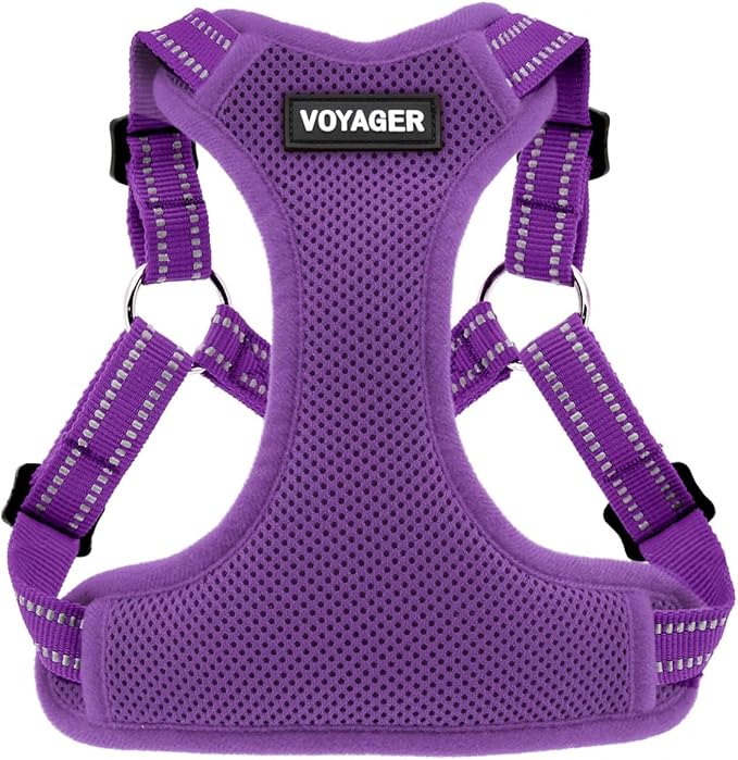 Best Pet Supplies Voyager Mesh Dog Breathable Harness Reflective Stitching, All Weather Adjustable for Walking Training, or Running - Heavy Duty & Durable, Harness (Purple), XL