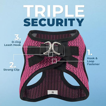 Voyager Step-in Air All Weather Mesh Harness and Reflective Dog 5 ft Leash Combo with Neoprene Handle, for Small, Medium and Large Breed Puppies by Best Pet Supplies - Fuchsia (2-Tone), M
