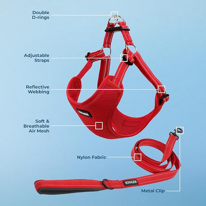Best Pet Supplies Voyager Mesh Dog Breathable Harness Reflective Stitching, All Weather Adjustable for Walking Training, or Running - Heavy Duty & Durable, Harness Leash Set (Red), L