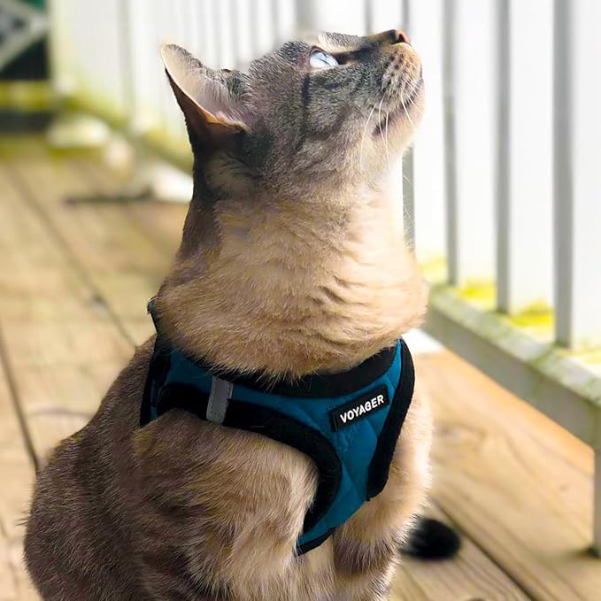 Best Pet Supplies - All Weather Mesh/Plush, Reflective, No Pull Harness for Small, Medium Dogs, Cats - Secure with Hook & Loop Fastener, Buckle, Double D-Rings - Turquoise Plush, XS