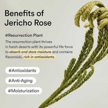 Abib Collagen Eye Patch Jericho Rose Jelly 60 Patches, Korean Under Eye Patches for Puffy Eyes and Dark Circles, Anti-Wrinkle, Collagen, Caffeine, Niacinamide, Ceramide, Antioxidant, Skin Care