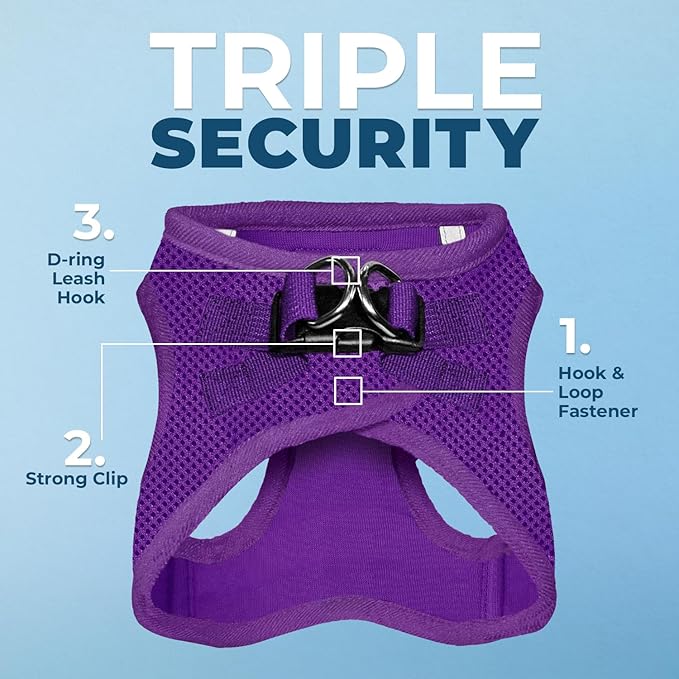 Voyager Step-in Air All Weather Mesh Harness and Reflective Dog 5 ft Leash Combo with Neoprene Handle, for Small, Medium and Large Breed Puppies by Best Pet Supplies - Set (Purple), XS