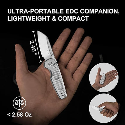 Kizer Parakeet EDC Pocket Knife, 2.46" Nitro-V Blade Folding Knife with Acrylic Handle, Thumb Stud Opener Small EDC Knives for Men Women Camping Hunting V2706A2