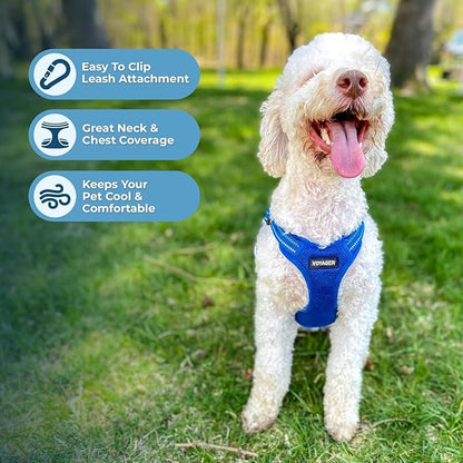 Best Pet Supplies Voyager Mesh Dog Breathable Harness Reflective Stitching, All Weather Adjustable for Walking Training, or Running - Heavy Duty & Durable, Harness Leash Set (Royal Blue), XS