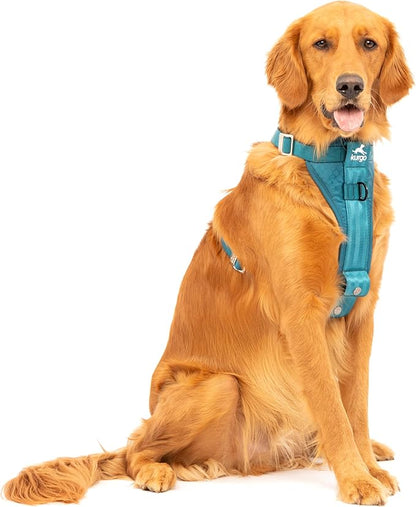 Kurgo Enhanced Strength Tru-Fit Dog Car Harness - Pet Travel Safety Harness - Crash Test Certified Fit - Five Point Adjustment - Secure Buckle - Padded Chest - Ink Blue - Large