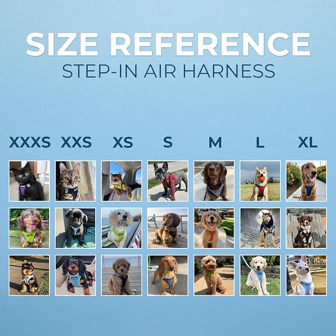Best Pet Supplies Voyager Step-in Air Harness - All Weather Mesh, Reflective, No Pull Harness for Dogs, Cats - Secure with Hook & Loop Fastener, Buckle, Double D-Rings - Fuchsia, M
