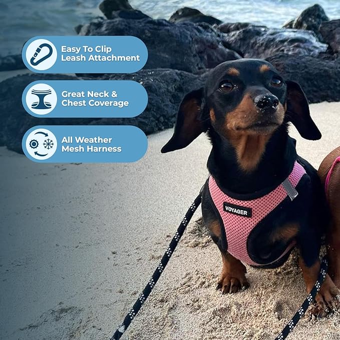 Voyager Step-in Air All Weather Mesh Harness and Reflective Dog 5 ft Leash Combo with Neoprene Handle, for Small, Medium and Large Breed Puppies by Best Pet Supplies - Pink/Black Trim, XX-Small
