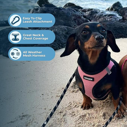 Voyager Step-in Air All Weather Mesh Harness and Reflective Dog 5 ft Leash Combo with Neoprene Handle, for Small, Medium and Large Breed Puppies by Best Pet Supplies - Pink/Black Trim, XX-Small