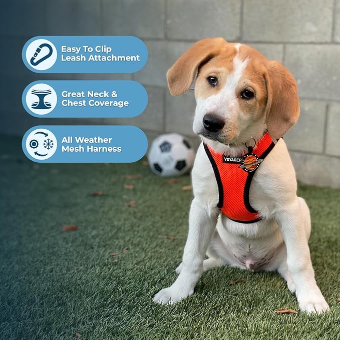 Voyager Step-in Air All Weather Mesh Harness and Reflective Dog 5 ft Leash Combo with Neoprene Handle, for Small, Medium and Large Breed Puppies by Best Pet Supplies - Orange/Black Trim, Large