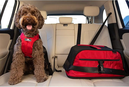 Sleepypod Air Pet Carrier Robin Egg Blue