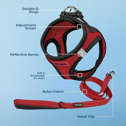 Voyager Step-in Air All Weather Mesh Harness and Reflective Dog 5 ft Leash Combo with Neoprene Handle, for Small, Medium and Large Breed Puppies by Best Pet Supplies - Red/Black Trim, Medium