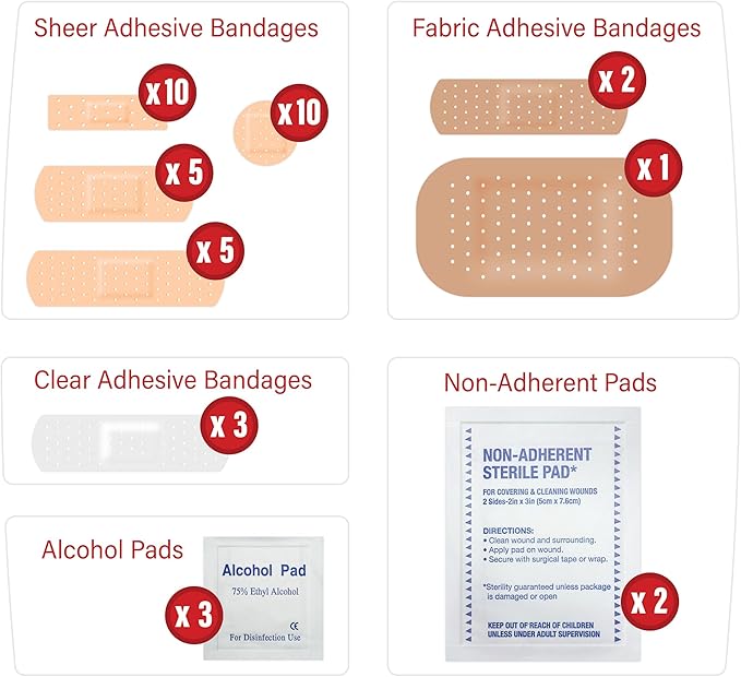 DecorRack 4200 Piece First Aid Kit, 48 Individual Boxes of 42 Items Each, First Aid Kits for Minor Cuts, Scrapes, Travel, Car, Home, Work, Field Trips or Camping (4200pcs, 100 Pack)