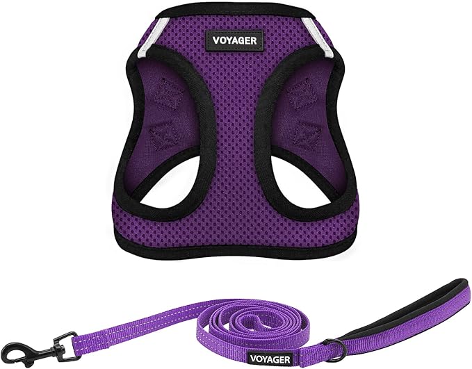 Voyager Step-in Air All Weather Mesh Harness and Reflective Dog 5 ft Leash Combo with Neoprene Handle, for Small, Medium and Large Breed Puppies by Best Pet Supplies - Purple/Black Trim, Large