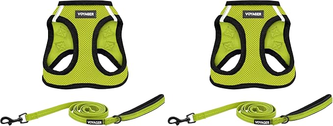 Voyager Step-in Air All Weather Mesh Harness & Reflective Dog 5 ft Leash Combo, Neoprene Handle, for Small, Medium, Large Breed Puppies by Best Pet Supplies - Leash Harness (Lime/Black Trim), M