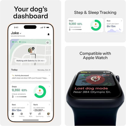 New Fi Series 3+ Smart Dog Tracker Collar [6 Month Membership Included] GPS Tracker for Dogs with Health & Behavior Monitoring, Escape Alerts, Waterproof, LED, Apple Watch Compatible (Yellow, X-Large)