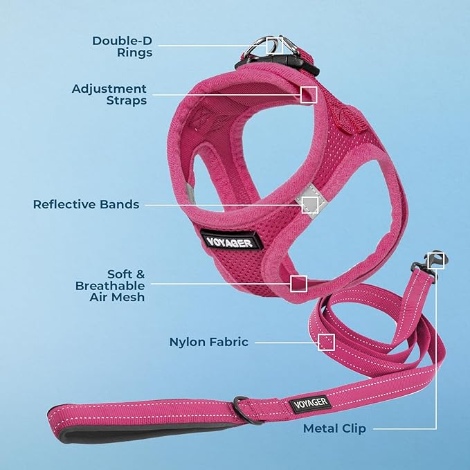 Voyager Step-in Air Cat Harness - All Weather Mesh Step in Vest Harness for Small and Medium Cats by Best Pet Supplies - Set (Fuchsia), XXXS