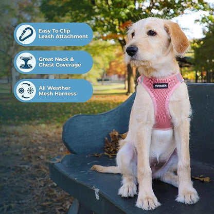 Voyager Step-in Air All Weather Mesh Harness and Reflective Dog 5 ft Leash Combo with Neoprene Handle, for Small, Medium and Large Breed Puppies by Best Pet Supplies - Set (Pink), XL