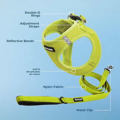 Voyager Step-in Air All Weather Mesh Harness and Reflective Dog 5 ft Leash Combo with Neoprene Handle, for Small, Medium and Large Breed Puppies by Best Pet Supplies - Set (Lime Green), M