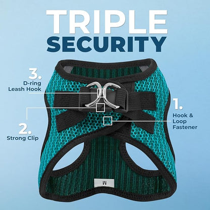 Voyager Step-in Air All Weather Mesh Harness and Reflective Dog 5 ft Leash Combo with Neoprene Handle, for Small, Medium and Large Breed Puppies by Best Pet Supplies - Turquoise (2-Tone), XS