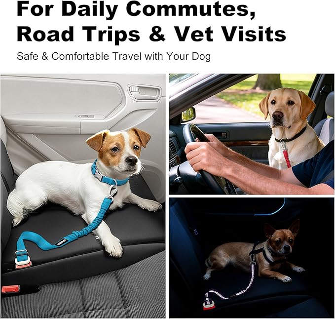 Dog Seat Belt for Car, Adjustable Dog Car Harness Seatbelt for Small Medium Large Dogs, Heavy Duty Travel Safety Restraint with Locking Aluminum Hook & Reflective Nylon Strap, Red
