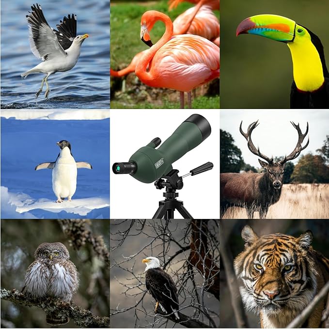 Emarth 20-60x60 Angled Spotting Scope for Target Shooting, Spotting Scope w/Tripod 14" Tabletop/Carry Bag, 1.37lb Light Spotter Scope, Waterproof Spotting Scopes for Hunting/Birding/Wildlife View
