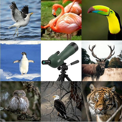 Emarth 20-60x60 Angled Spotting Scope for Target Shooting, Spotting Scope w/Tripod 14" Tabletop/Carry Bag, 1.37lb Light Spotter Scope, Waterproof Spotting Scopes for Hunting/Birding/Wildlife View