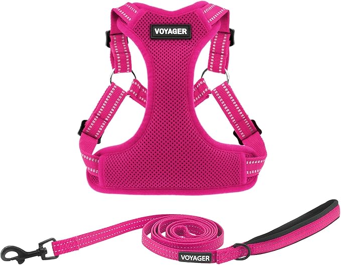 Best Pet Supplies Voyager Mesh Dog Breathable Harness Reflective Stitching, All Weather Adjustable for Walking Training, or Running - Heavy Duty & Durable, Harness Leash Set (Fuchsia), XL