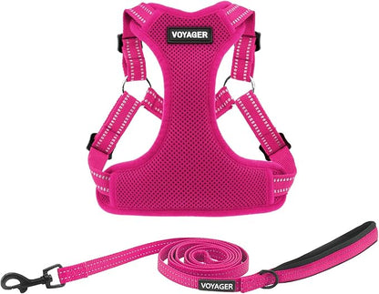 Best Pet Supplies Voyager Mesh Dog Breathable Harness Reflective Stitching, All Weather Adjustable for Walking Training, or Running - Heavy Duty & Durable, Harness Leash Set (Fuchsia), M