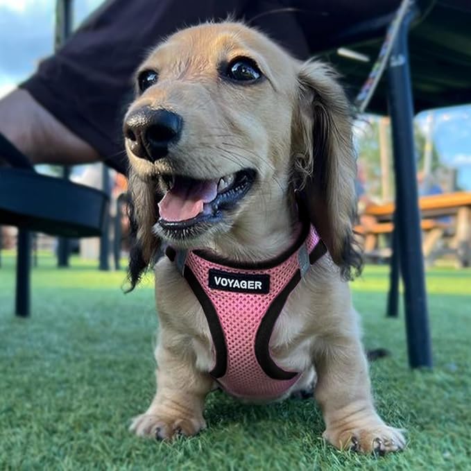 Voyager Step-in Air All Weather Mesh Harness and Reflective Dog 5 ft Leash Combo with Neoprene Handle, for Small, Medium and Large Breed Puppies by Best Pet Supplies - Pink Base,S