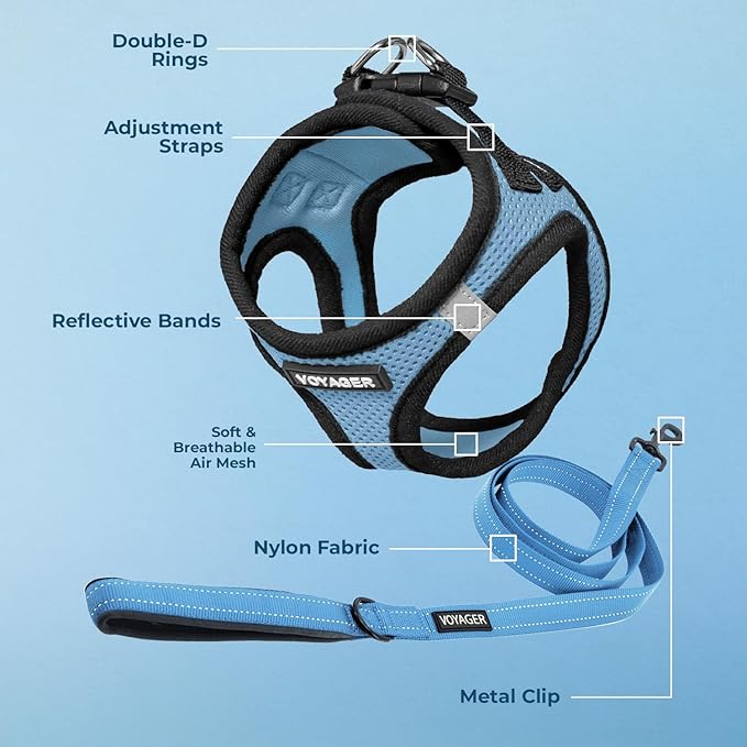 Voyager Step-in Air All Weather Mesh Harness and Reflective Dog 5 ft Leash Combo with Neoprene Handle, for Small, Medium and Large Breed Puppies by Best Pet Supplies - Baby Blue/Black Trim, XX-Small