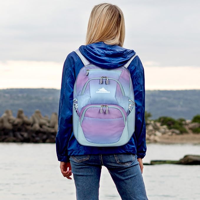 High Sierra Swoop Backpack with Laptop Pocket + Tablet Sleeve, Fits most 17” Laptops, 30L, Purple Blue