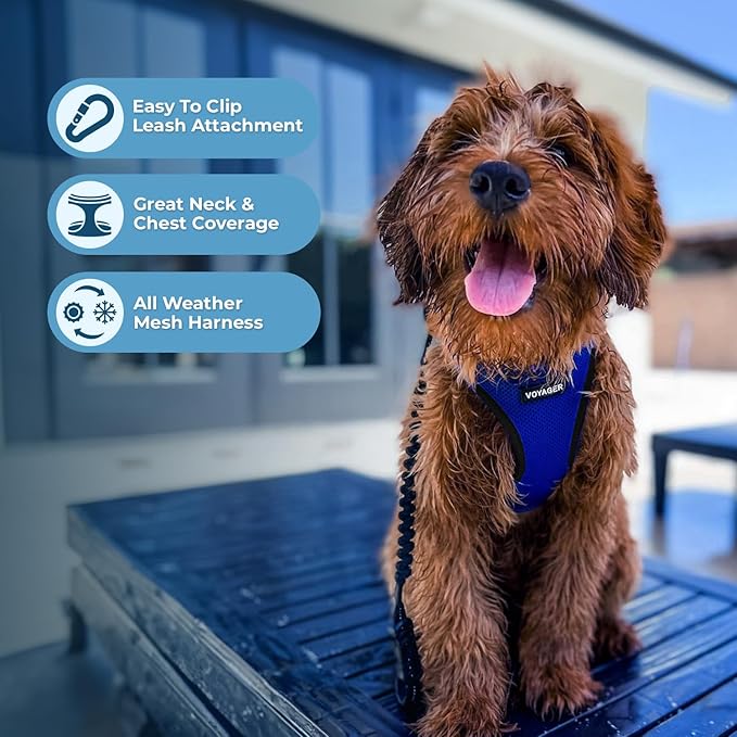 Voyager Step-in Air All Weather Mesh Harness and Reflective Dog 5 ft Leash Combo with Neoprene Handle, for Small, Medium and Large Breed Puppies by Best Pet Supplies - Royal Blue/Black Trim, X-Large