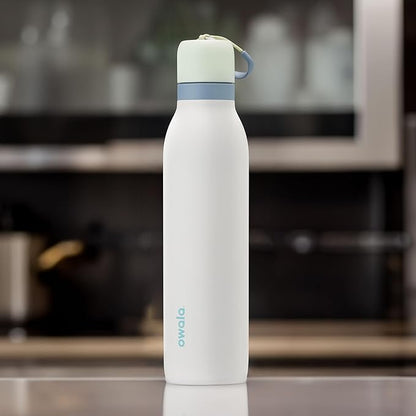 Owala FreeSip Twist Insulated Stainless Steel Water Bottle with Straw for Sports and Travel, BPA-Free, 18-oz, Mint/White (Iced Breeze)