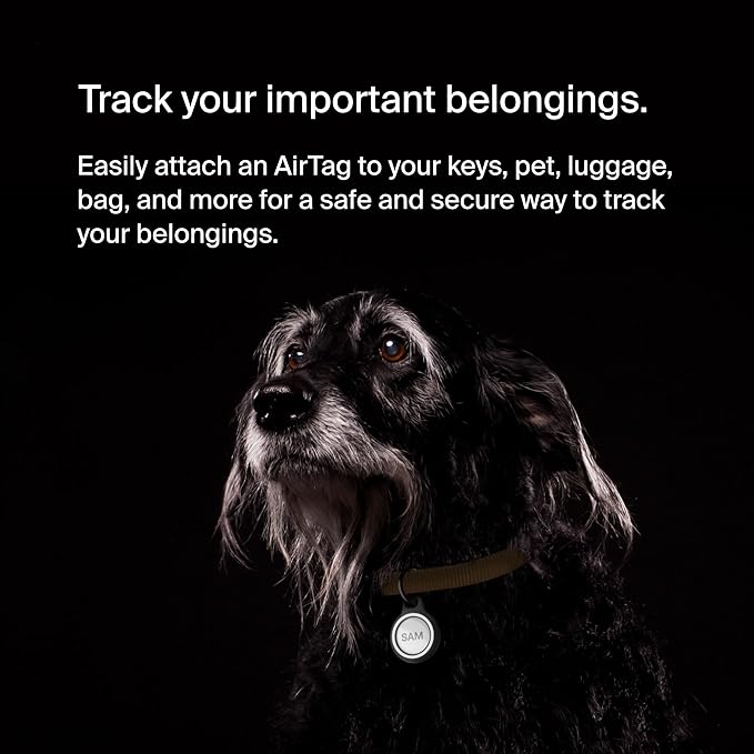 Belkin Apple AirTag Reflective Secure Holder w/Key Ring - AirTag Keychain - AirTag Holder - AirTag Keychain Accessories - Reflective & Scratch Resistant AirTag Case w/Raised Edges - 2-Pack Black
