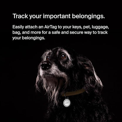 Belkin Apple AirTag Reflective Secure Holder w/Key Ring - AirTag Keychain - AirTag Holder - AirTag Keychain Accessories - Reflective & Scratch Resistant AirTag Case w/Raised Edges - 2-Pack Black