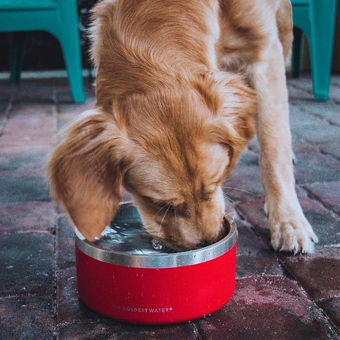 Coldest Dog Bowl - Anti Rust Metal & Non Slip Dog Bowls Large, Spill Proof Heavy Duty 3 Layers Insulated Dog Bowl - Food and Water Bowl for Dogs, Cats & Pets, Dishwasher Safe (42 oz, Carrara Marble)