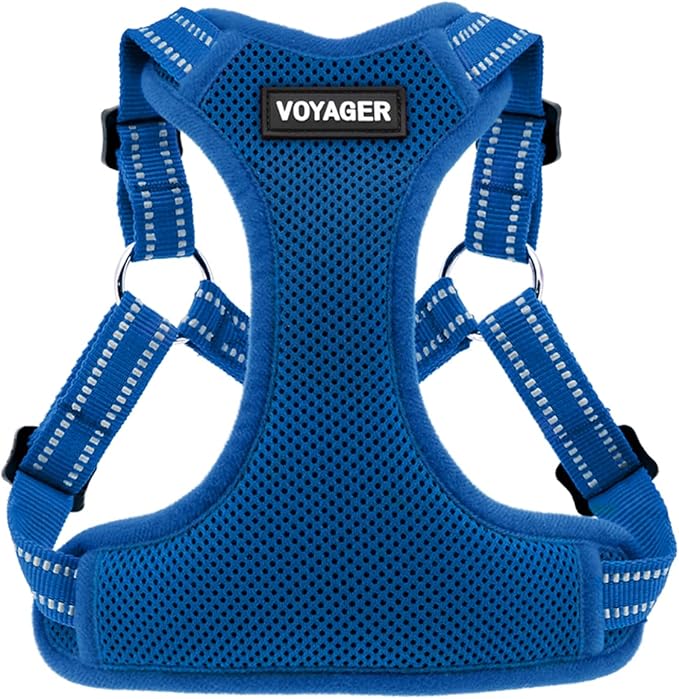 Best Pet Supplies Voyager Mesh Dog Breathable Harness Reflective Stitching, All Weather Adjustable for Walking Training, or Running - Heavy Duty & Durable, Harness (Royal Blue), XS