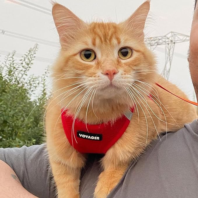 Voyager Step-in Air Cat Harness - All Weather Mesh Step in Vest Harness for Small and Medium Cats by Best Pet Supplies - Harness Leash Set (Red), XXS