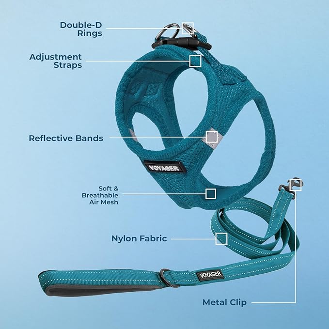 Voyager Step-in Air All Weather Mesh Harness and Reflective Dog 5 ft Leash Combo with Neoprene Handle, for Small, Medium and Large Breed Puppies by Best Pet Supplies - Set (Turquoise), M