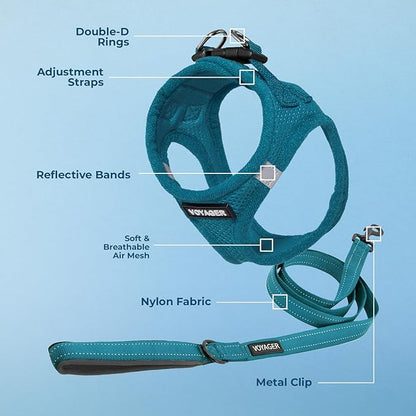 Voyager Step-in Air All Weather Mesh Harness and Reflective Dog 5 ft Leash Combo with Neoprene Handle, for Small, Medium and Large Breed Puppies by Best Pet Supplies - Set (Turquoise), XL