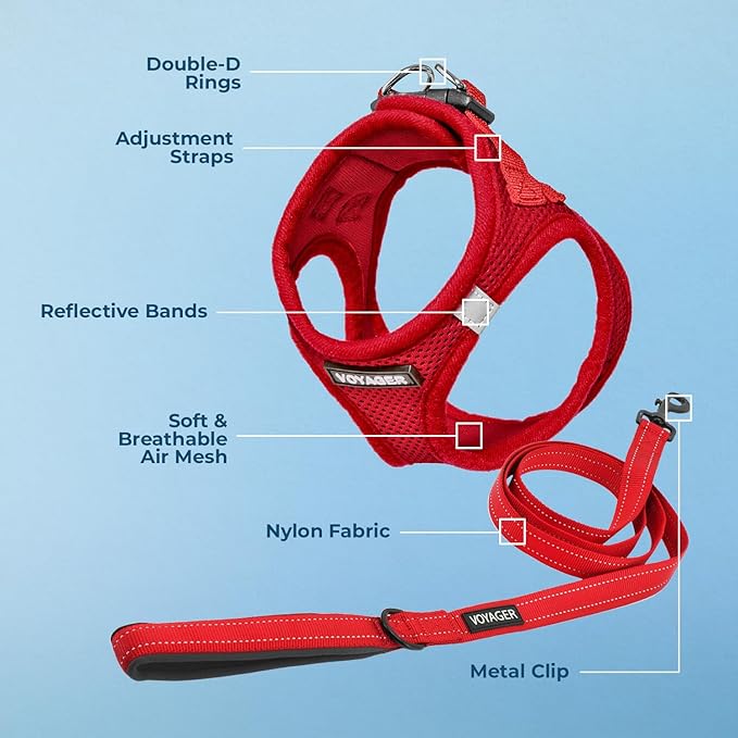 Voyager Step-in Air Cat Harness - All Weather Mesh Step in Vest Harness for Small and Medium Cats by Best Pet Supplies - Harness Leash Set (Red), XXS