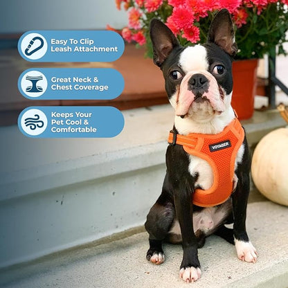 Best Pet Supplies Voyager Mesh Dog Breathable Harness Reflective Stitching, All Weather Adjustable for Walking Training, or Running - Heavy Duty & Durable, Harness (Orange), XS