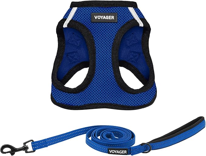 Voyager Step-in Air All Weather Mesh Harness and Reflective Dog 5 ft Leash Combo with Neoprene Handle, for Small, Medium and Large Breed Puppies by Best Pet Supplies - Royal Blue/Black Trim, Small