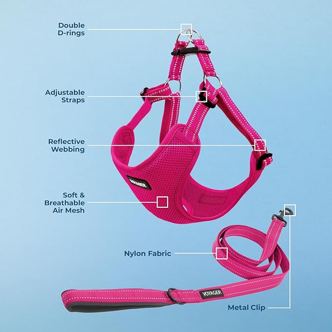 Best Pet Supplies Voyager Mesh Dog Breathable Harness Reflective Stitching, All Weather Adjustable for Walking Training, or Running - Heavy Duty & Durable, Harness Leash Set (Fuchsia), XL