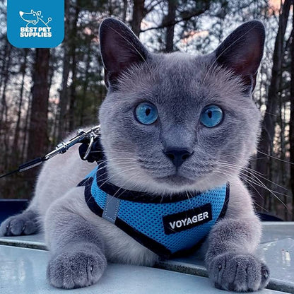 Best Pet Supplies Voyager Step-in Air Harness - All Weather Mesh, Reflective, No Pull Harness for Dogs, Cats - Secure with Hook & Loop Fastener, Buckle, Double D-Rings - Baby Blue/Black Trim, M