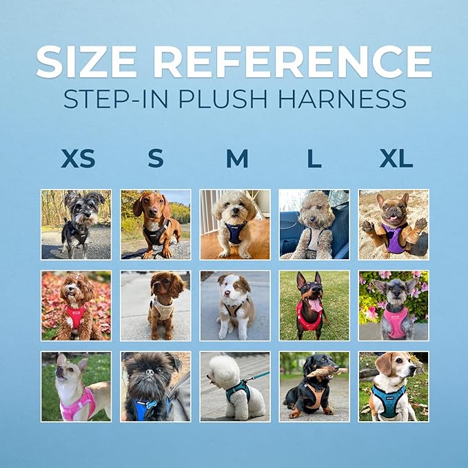 Best Pet Supplies - All Weather Mesh/Plush, Reflective, No Pull Harness for Small, Medium Dogs, Cats - Secure with Hook & Loop Fastener, Buckle, Double D-Rings - Turquoise Plush, S