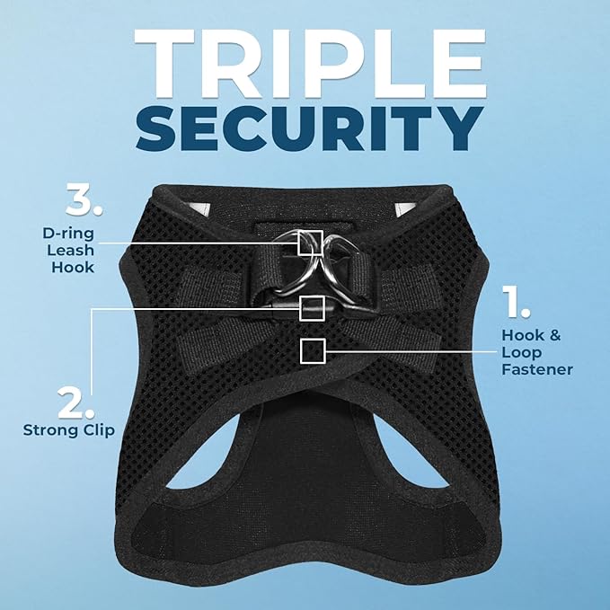 Voyager Step-in Air All Weather Mesh Harness and Reflective Dog 5 ft Leash Combo with Neoprene Handle, for Small, Medium and Large Breed Puppies by Best Pet Supplies - Set (Black), S