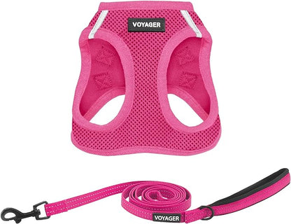Voyager Step-in Air All Weather Mesh Harness and Reflective Dog 5 ft Leash Combo with Neoprene Handle, for Small, Medium and Large Breed Puppies by Best Pet Supplies - Set (Fuchsia), M